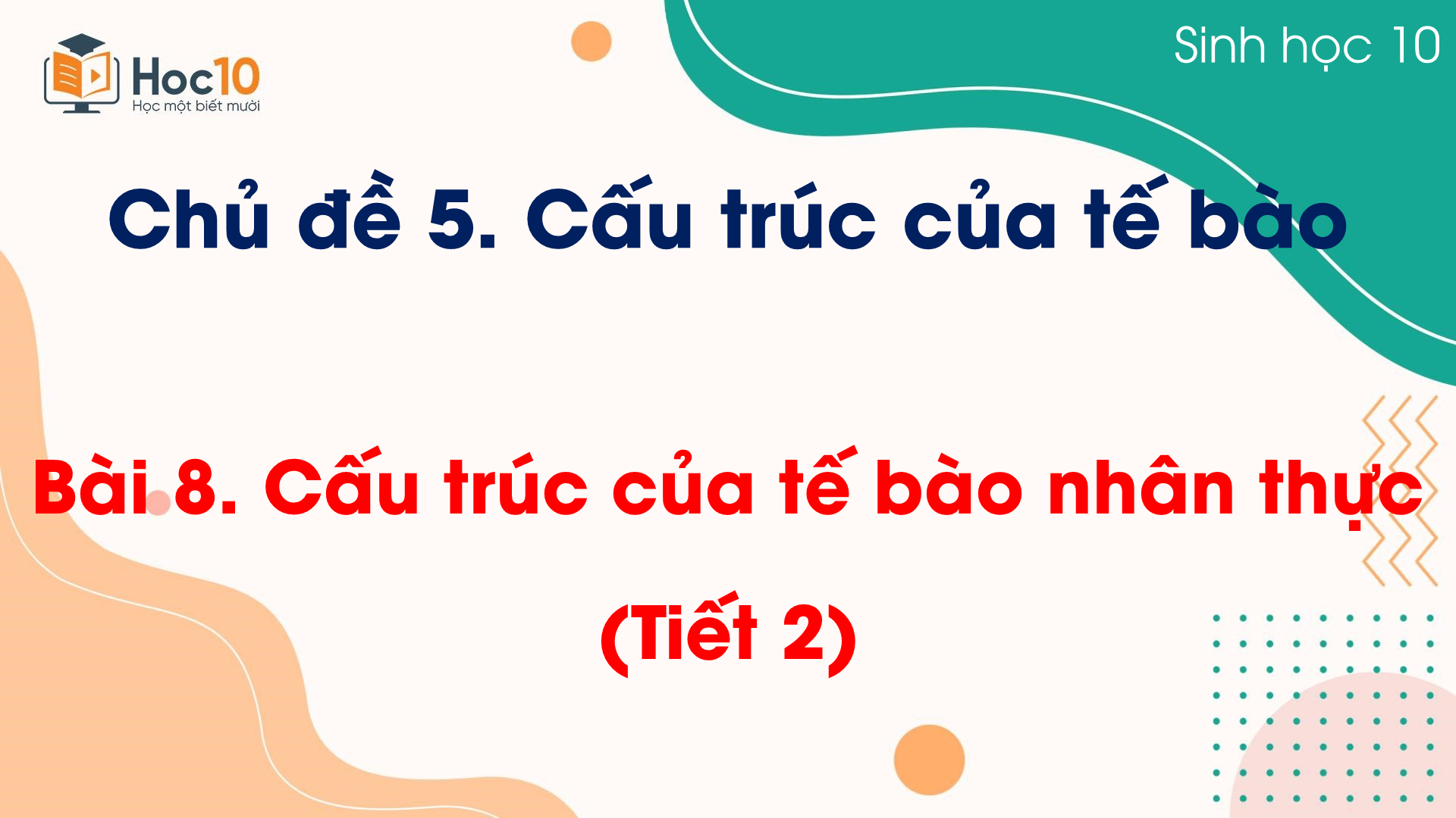 Bài 8 Cấu trúc của tế bào nhân thực (Tiết 2)
